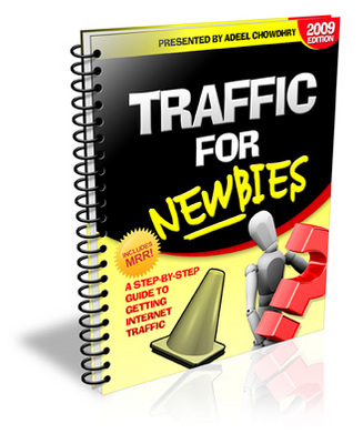 Product picture Traffic for Newbies